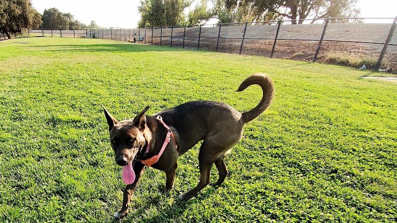 Lathrop Dog Park - Lathrop, CA
