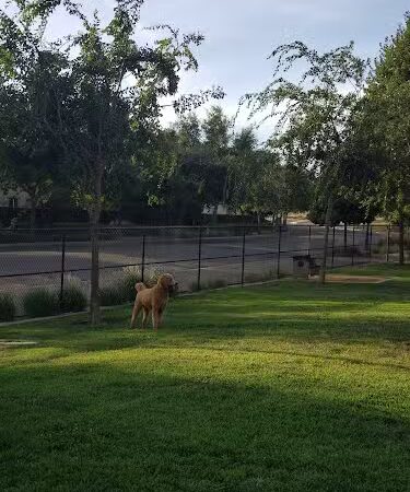 Lathrop Dog Park - Lathrop, CA