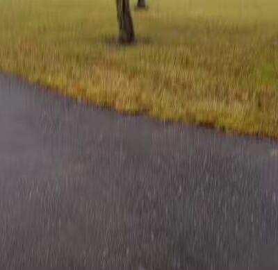 Goldengate park - Lathrup Village,