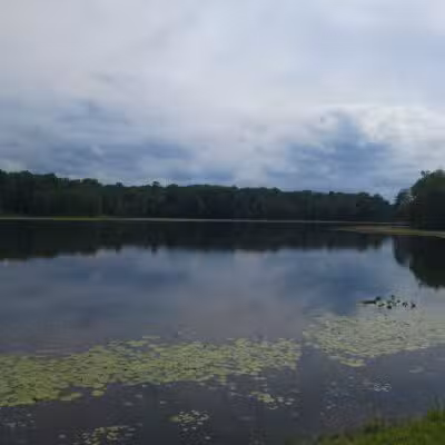 Cash Lake Trail - Laurel, MD