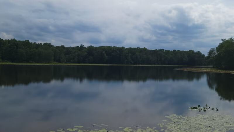 Cash Lake Trail - Laurel, MD