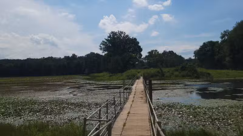 Cash Lake Trail - Laurel, MD