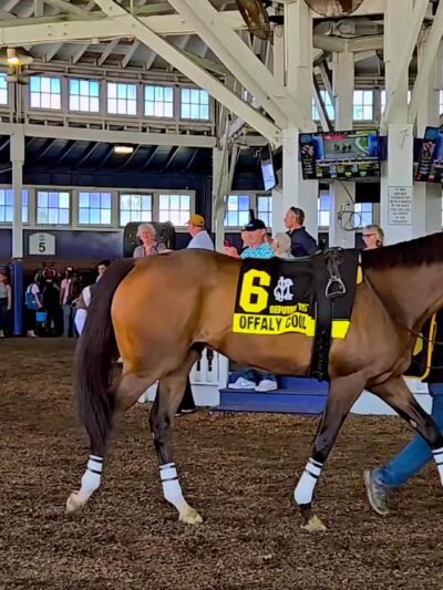 Laurel Park - Laurel, MD