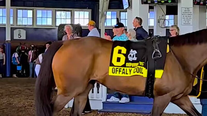 Laurel Park - Laurel, MD