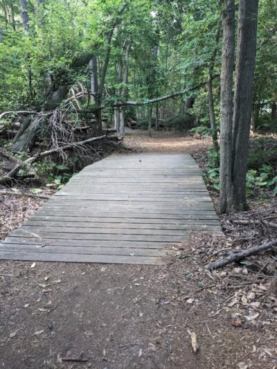 Cash Lake Trail - Laurel, MD