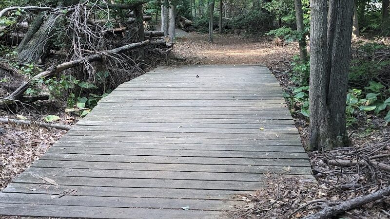 Cash Lake Trail - Laurel, MD