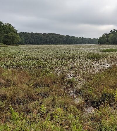 Cash Lake Trail - Laurel, MD
