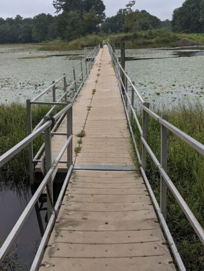 Cash Lake Trail - Laurel, MD