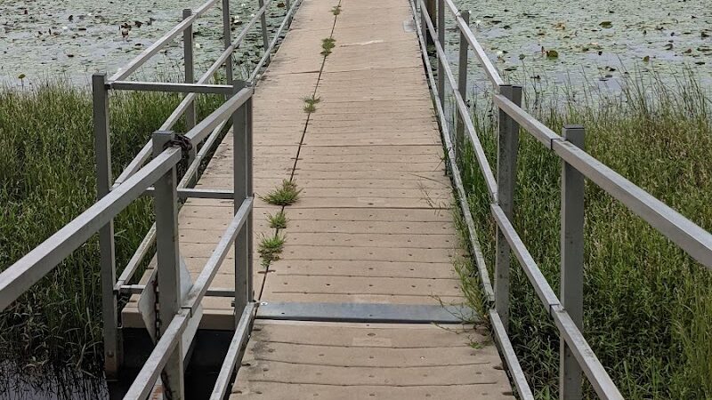 Cash Lake Trail - Laurel, MD