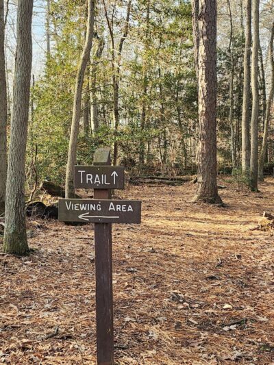 Cash Lake Trail - Laurel, MD