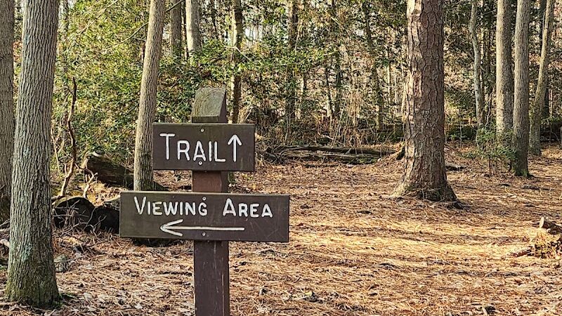 Cash Lake Trail - Laurel, MD