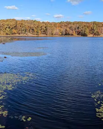Cash Lake Trail - Laurel, MD