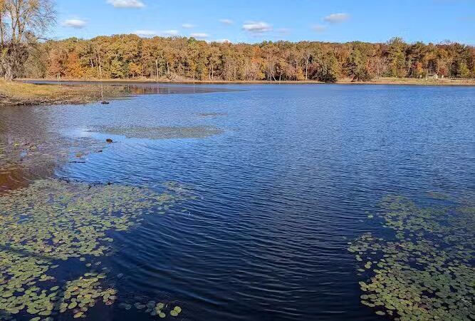 Cash Lake Trail - Laurel, MD