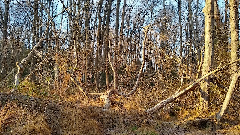 Hammond Park - Laurel, MD