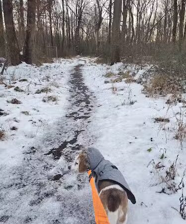 Hammond Park - Laurel, MD