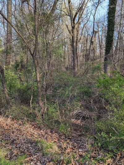 High Ridge Park - Laurel, MD