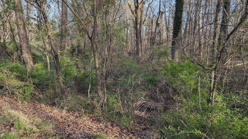 High Ridge Park - Laurel, MD