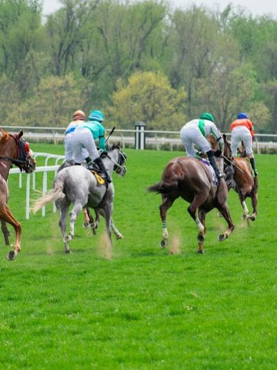 Laurel Park - Laurel, MD