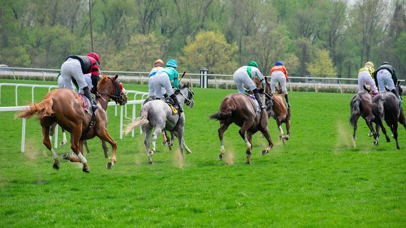 Laurel Park - Laurel, MD