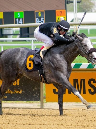 Laurel Park - Laurel, MD