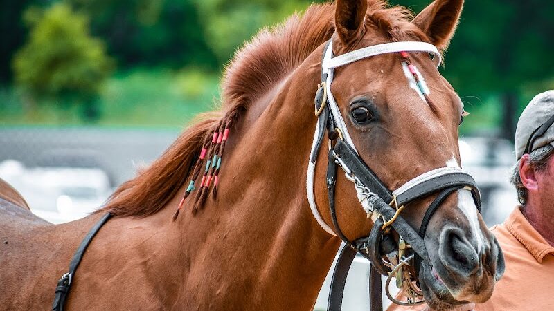 Laurel Park - Laurel, MD