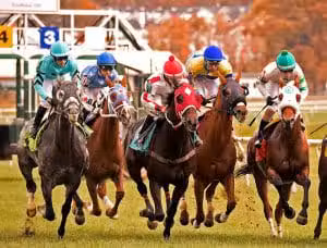 Laurel Park - Laurel, MD