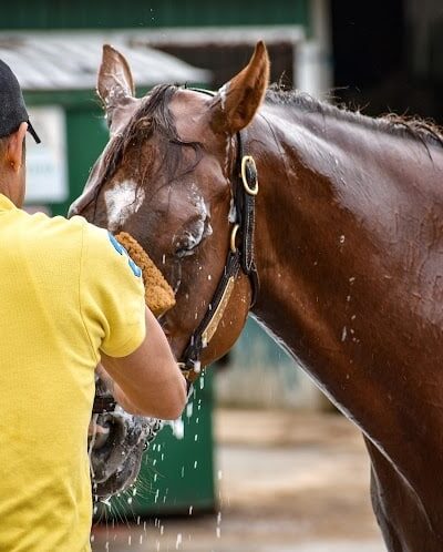 Laurel Park - Laurel, MD