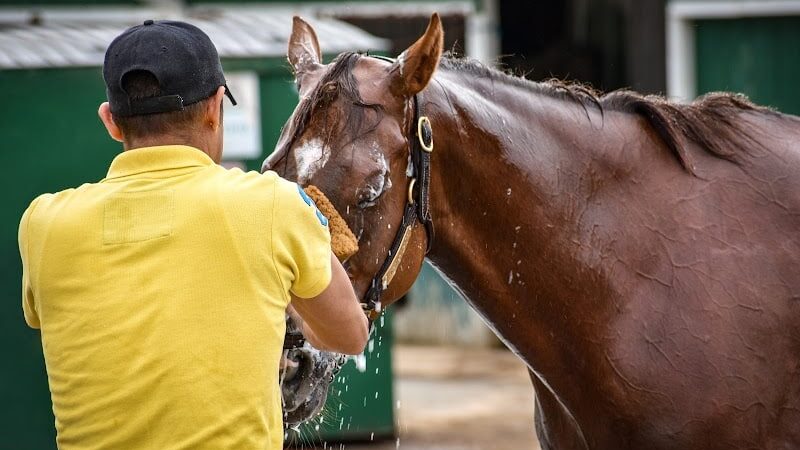 Laurel Park - Laurel, MD