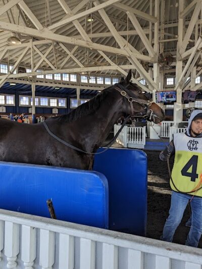 Laurel Park - Laurel, MD