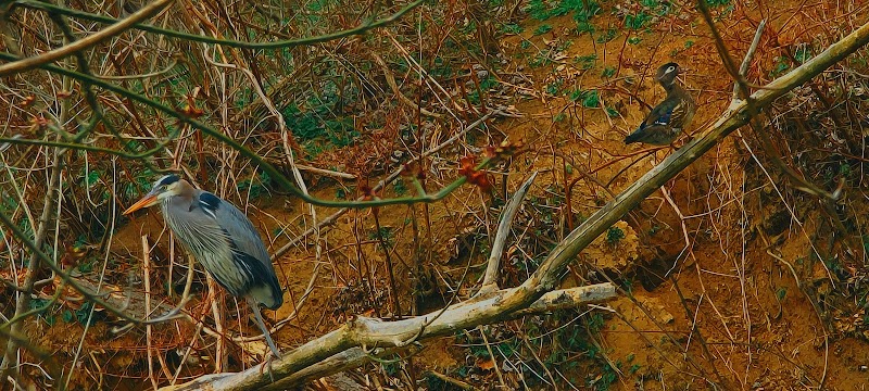Laurel Riverfront Park - Laurel, MD