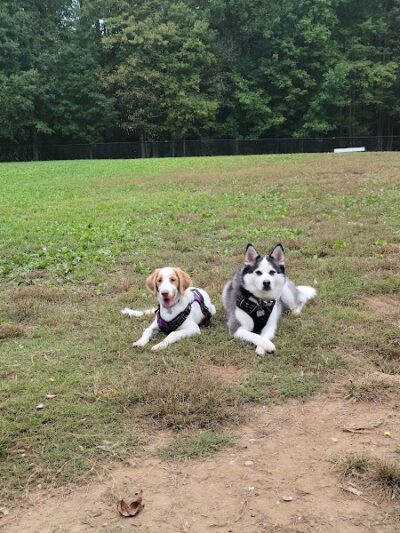 Maryland City Park - Laurel, MD