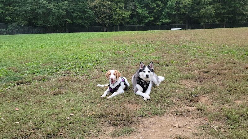 Maryland City Park - Laurel, MD