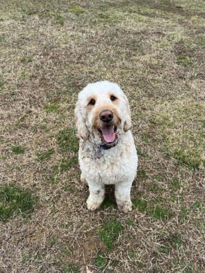 Maryland City Park - Laurel, MD