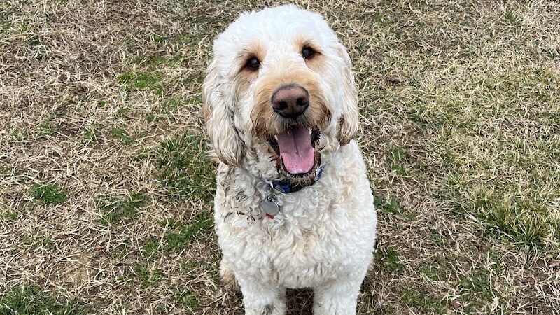 Maryland City Park - Laurel, MD