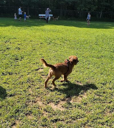 Maryland City Park - Laurel, MD