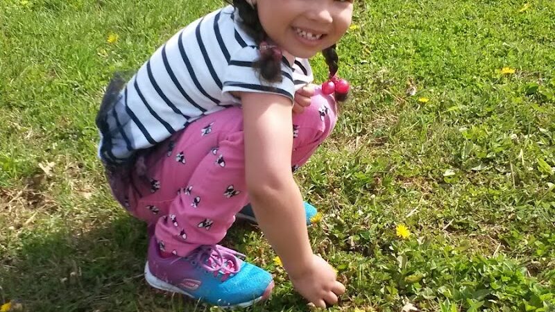 Montpelier Park - Laurel, MD