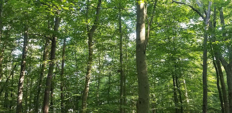 Pheasant Run Community Park - Laurel, MD