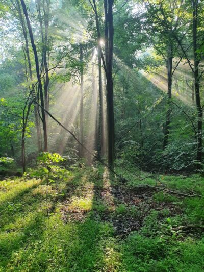 Pheasant Run Community Park - Laurel, MD