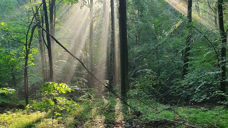 Pheasant Run Community Park - Laurel, MD