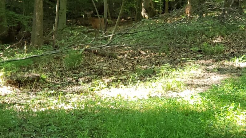Pheasant Run Community Park - Laurel, MD