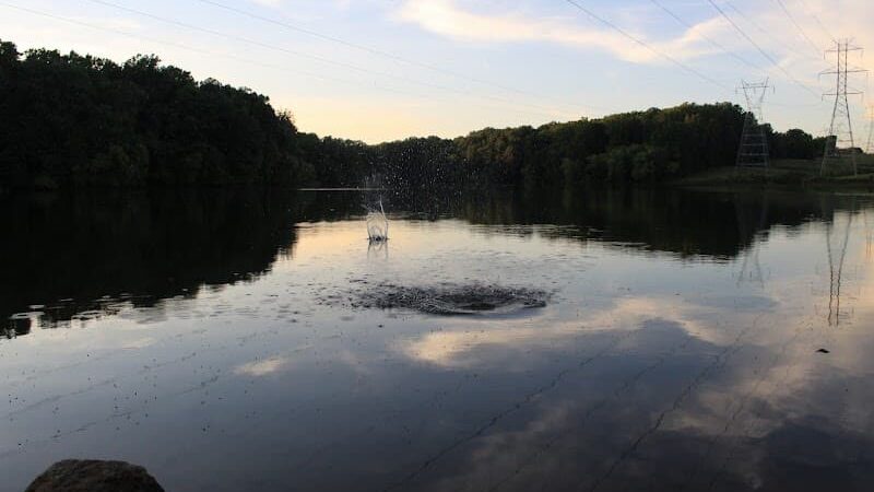 T. Howard Duckett Park - Laurel, MD