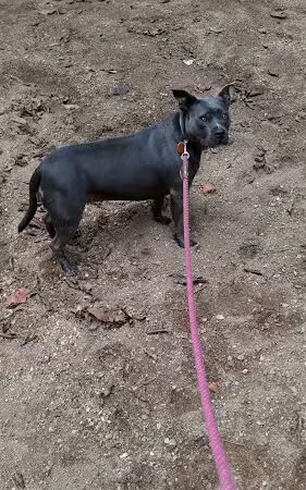 Riverfront Park - Laurel, MD