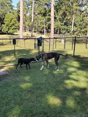 Laurel Dog Park - Laurel, MS