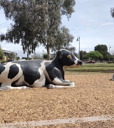 Cesar Chavez Dog Park - Laveen Village, AZ
