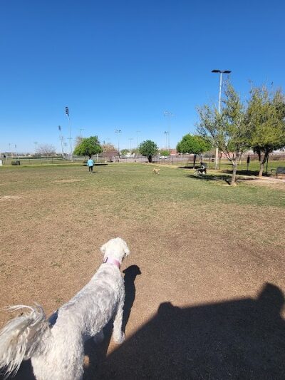 Cesar Chavez Dog Park - Laveen Village, AZ