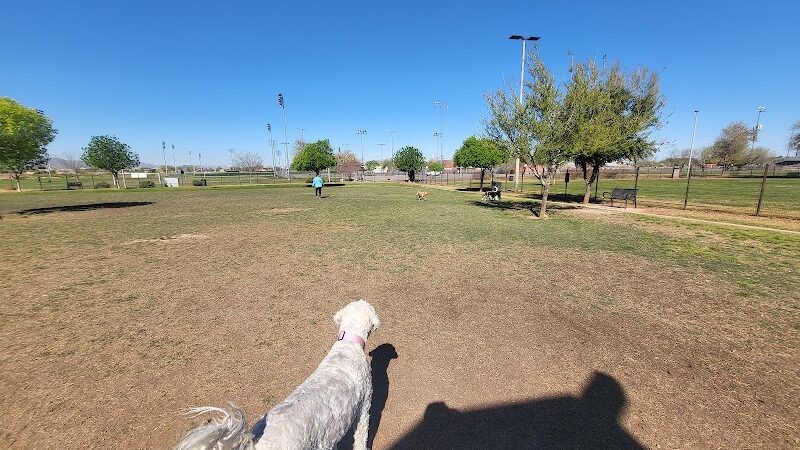 Cesar Chavez Dog Park - Laveen Village, AZ