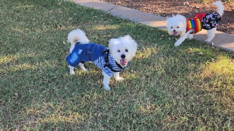 Cesar Chavez Dog Park - Laveen Village, AZ