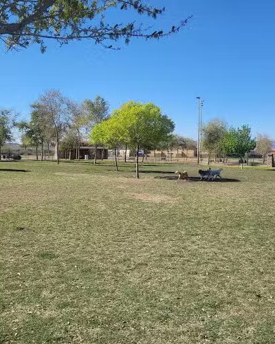 Cesar Chavez Dog Park - Laveen Village, AZ