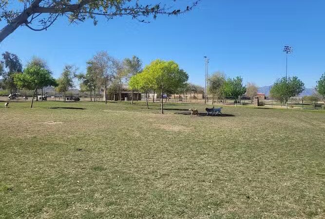 Cesar Chavez Dog Park - Laveen Village, AZ