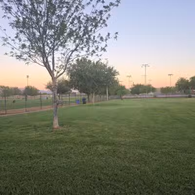 Cesar Chavez Dog Park - Laveen Village, AZ